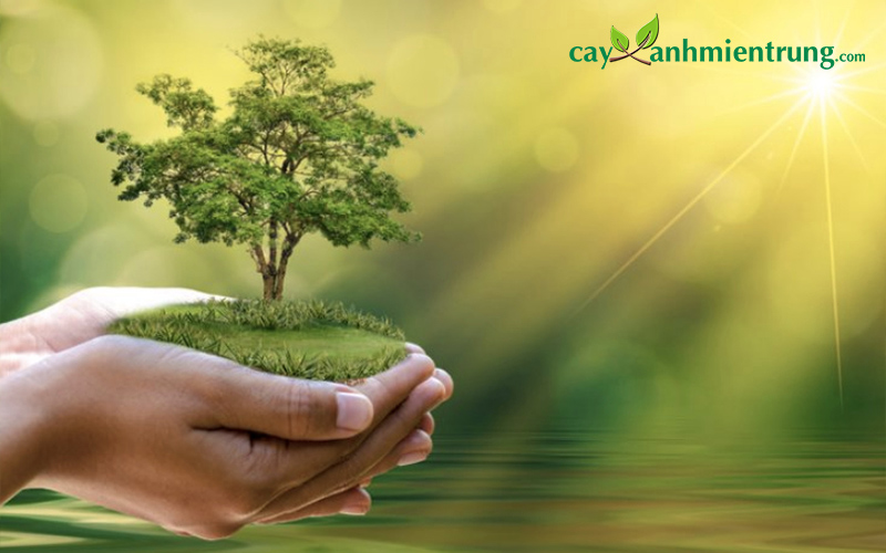 Lợi ích của massage